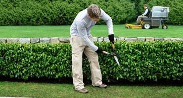 Gardener Luxembourg • Handyman Luxembourg